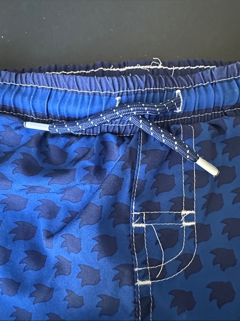Sonic Blue Boys' Character Swim Shorts with Drawstring - Picture 6 of 8